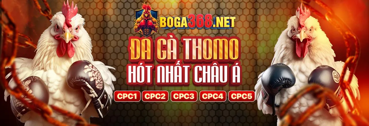 Cá cược Thể Thao đa dạng